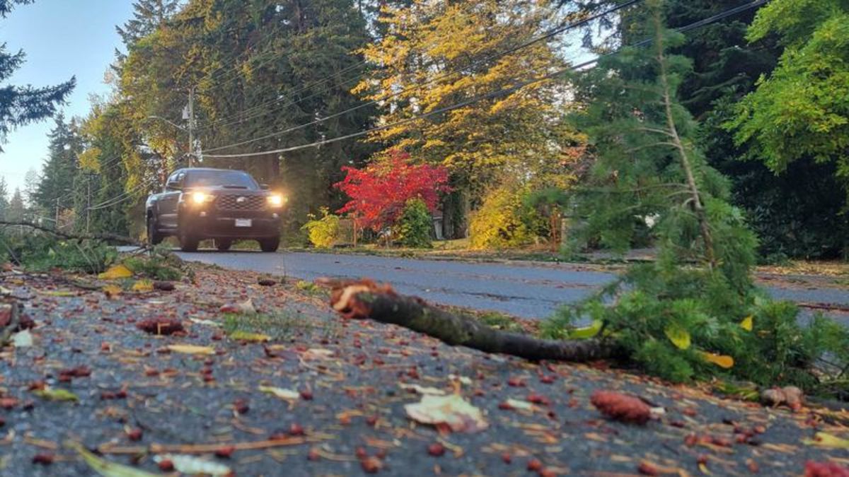 Hydro crews continue work restoring power for thousands across central ...