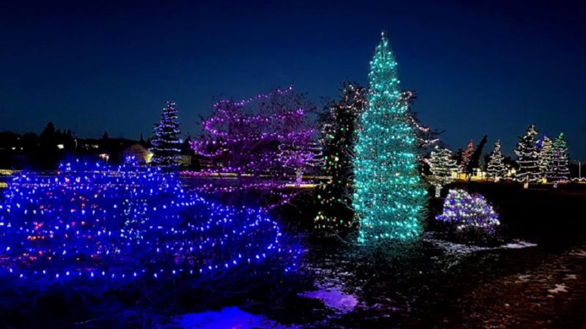 Ponoka’s annual Christmas Lights Tour map now available
