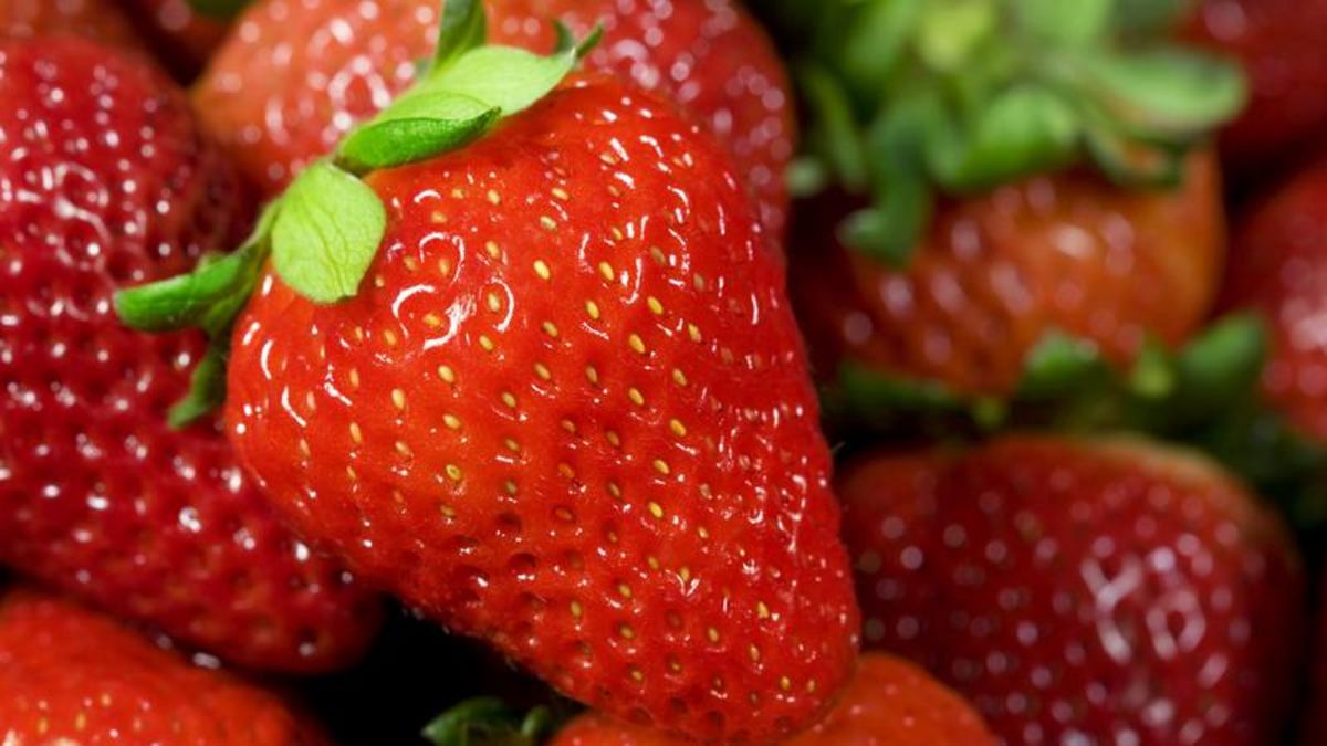 Quebec company poised to produce one million kilograms of strawberries