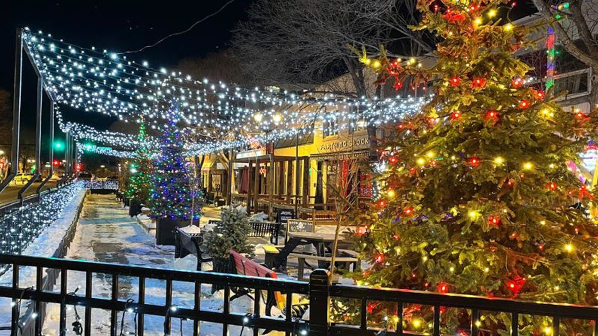 Annual Red Deer Christmas lights tour as big as ever