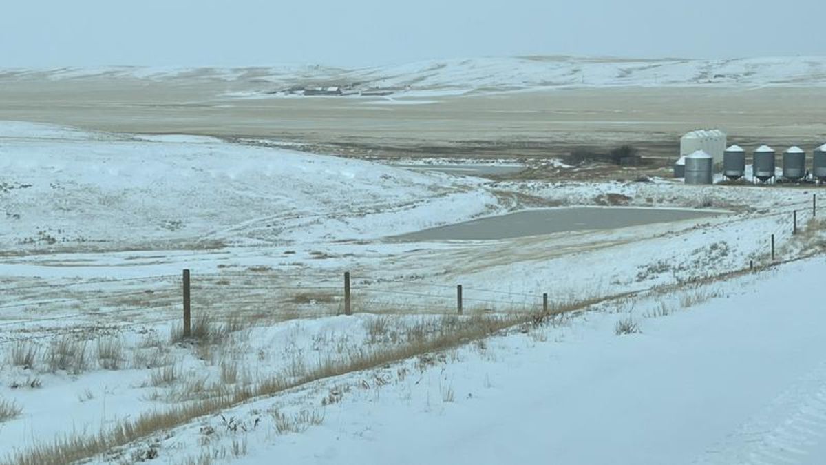 Fall moisture welcome by agriculture community in southeastern Alberta ...