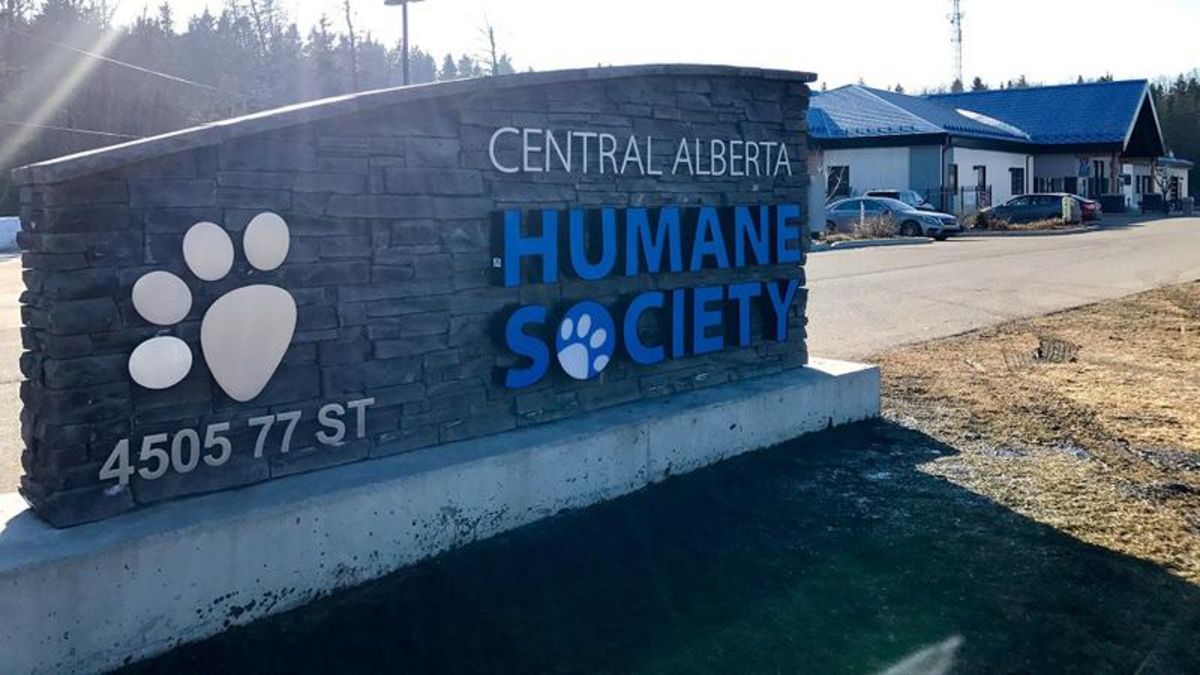 CA Humane Society Scam Alert | rdnewsnow.com