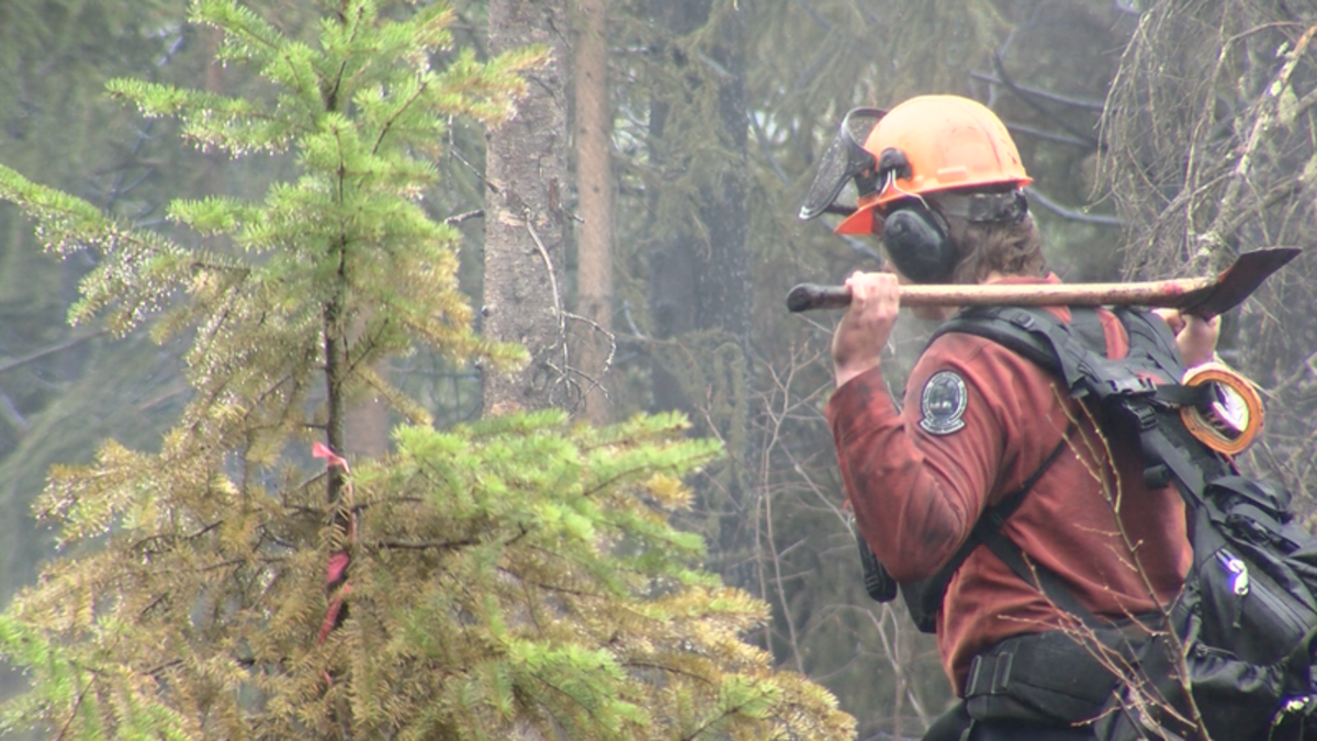 $28 Million spent on Wildfire suppression within PG Fire Centre ...