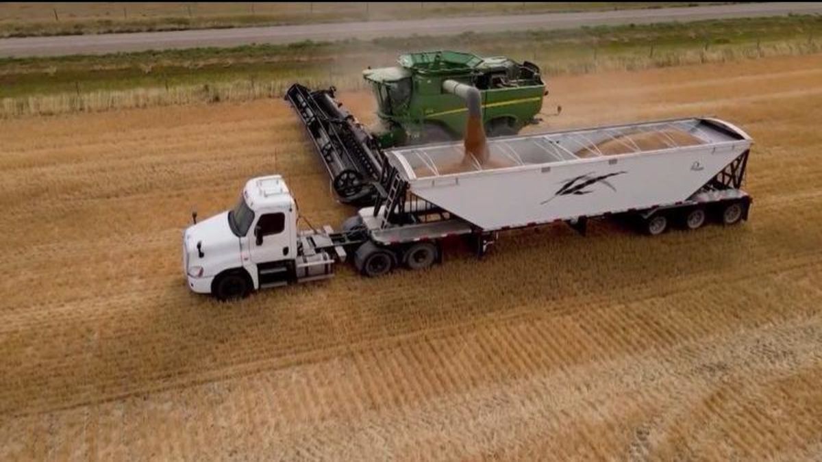 Agriculture minister says ‘wild investment’ could result from value