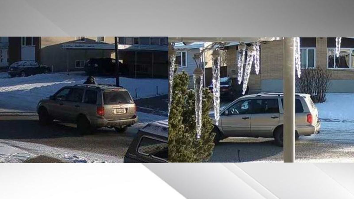 Lethbridge Police looking for suspect involved in physical altercation ...