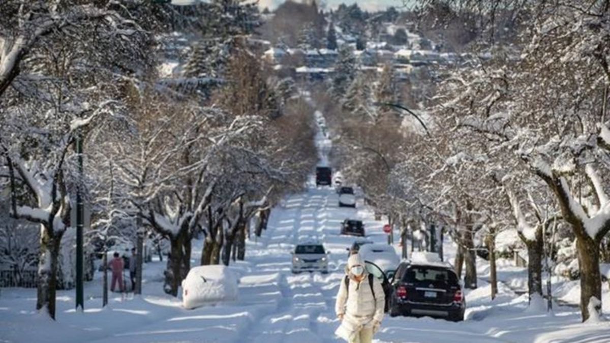 Environment Canada forecasts heavy snowfall across much of B.C