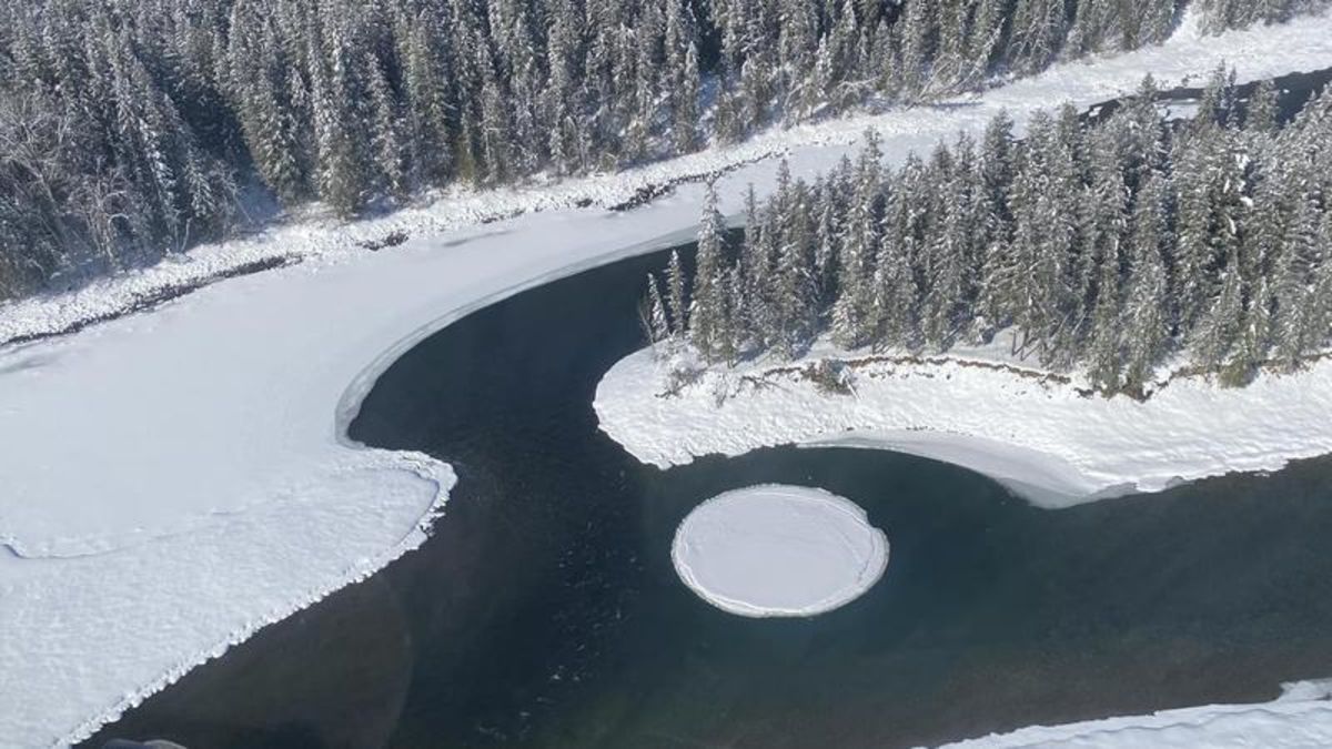 Rare ice disc dots confluence of North Thompson, Clearwater rivers