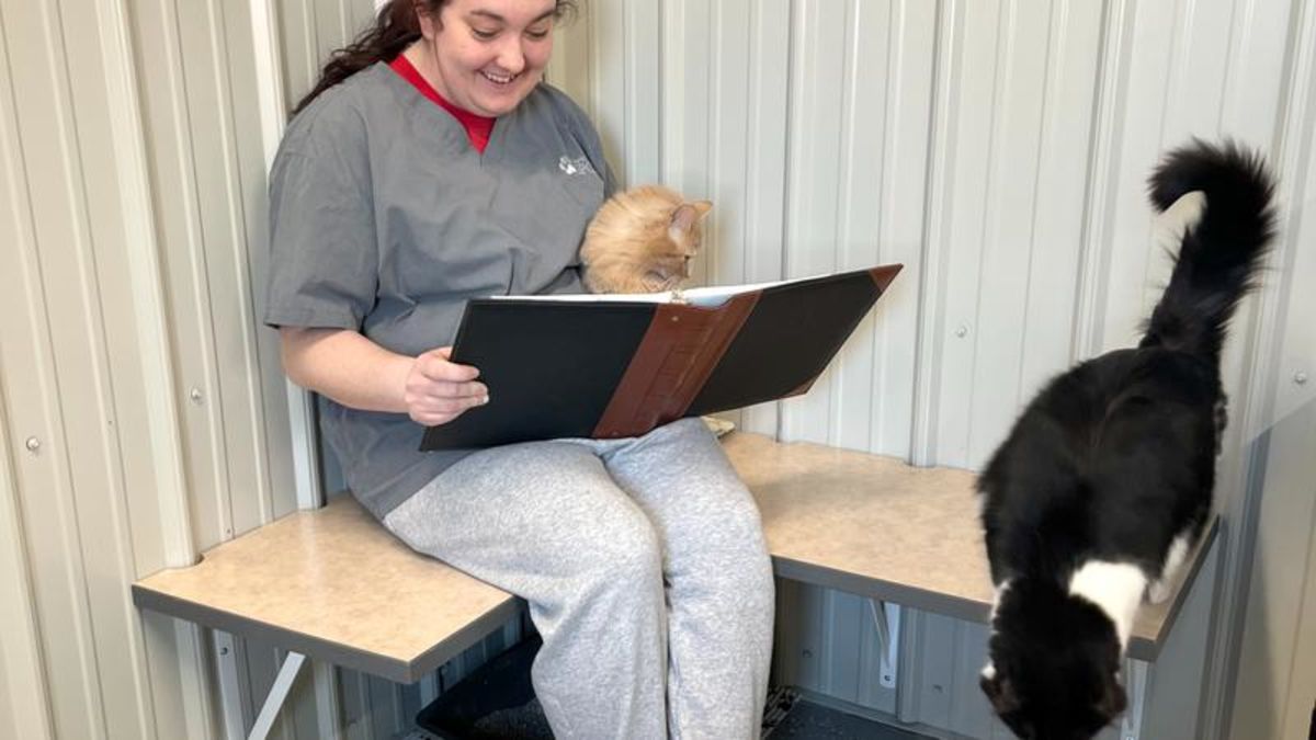 The cat’s meow feline reading program to start at NESPCA paNOW