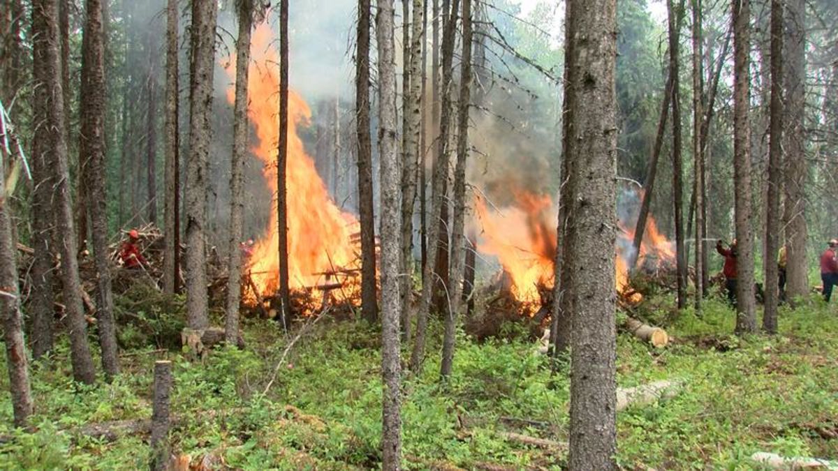 British Columbians Encouraged To Prepare For Flooding, Wildfire Season ...