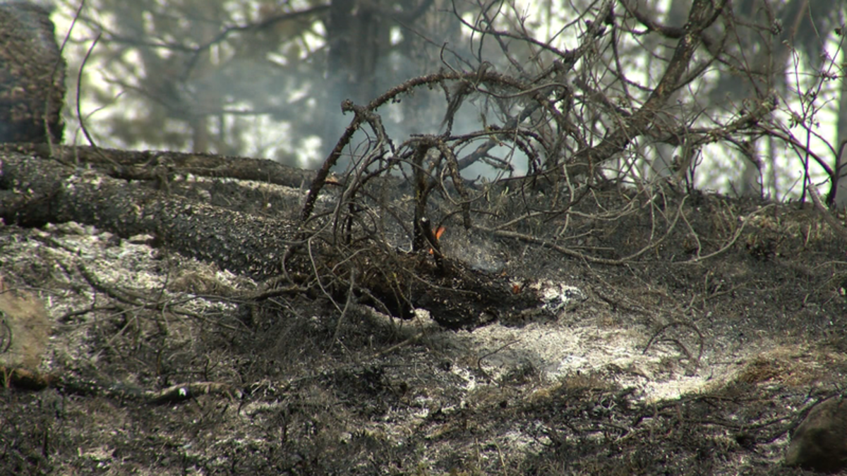 UPDATE: Evacuation Alert issued for Pavilion Reserve | CFJC Today Kamloops