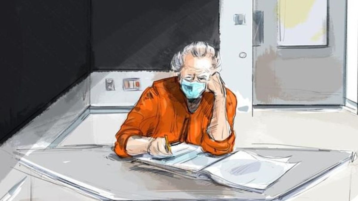 Former fashion mogul Peter Nygard arguing against extradition order at ...