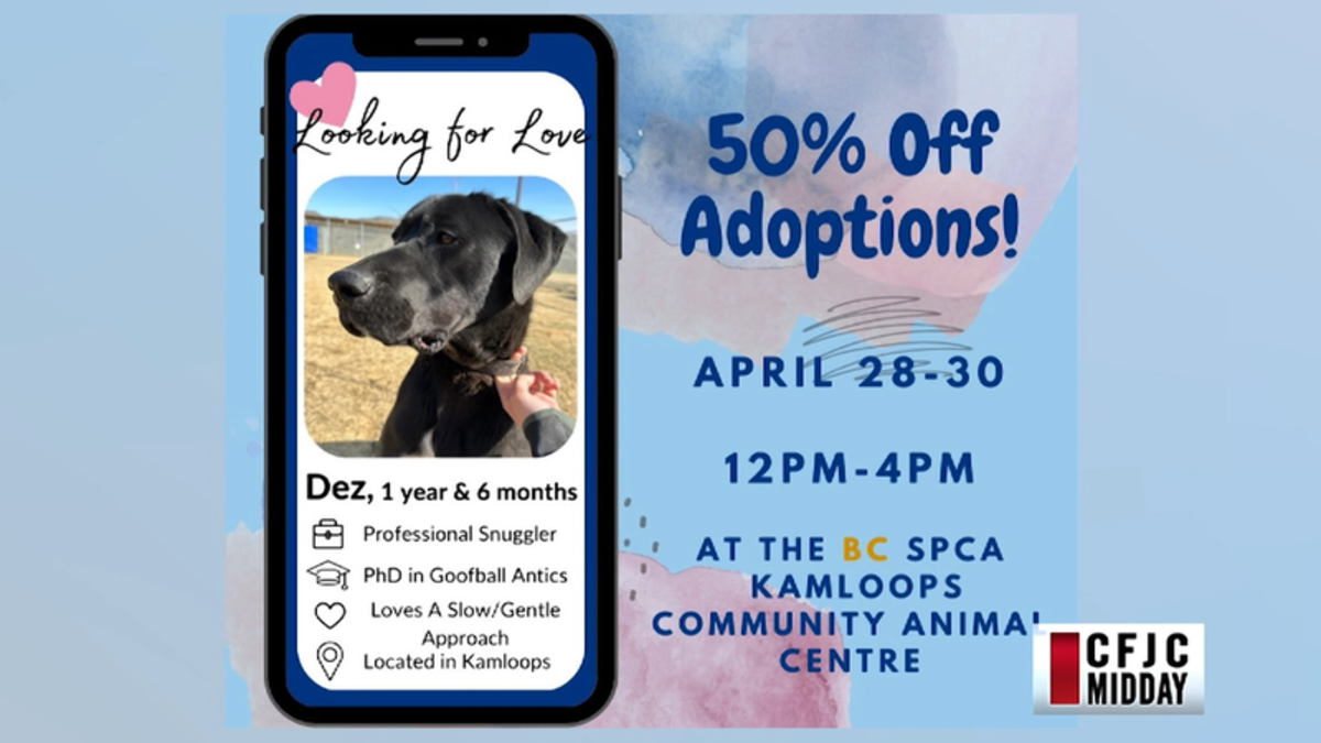 CFJC Midday National Adopt a Shelter Pet Day! BC SPCA promotion is a