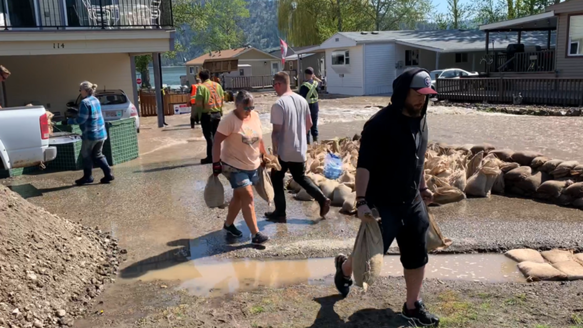 Community joins together to mitigate flooding in Parker Cove Vernon