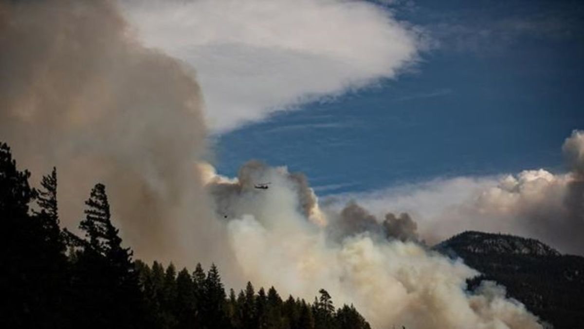 Out-of-control wildfires in northeastern B.C. expected to worsen due to ...