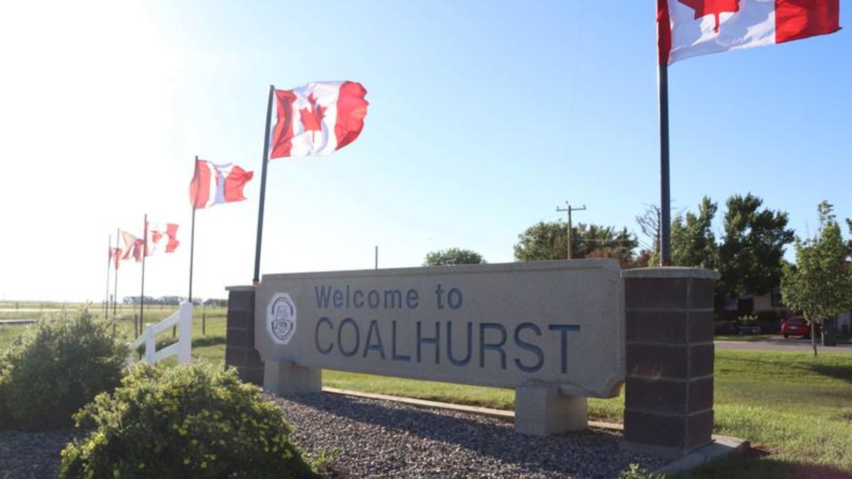 Town of Coalhurst warns of cougar sighting Lethbridge News Now