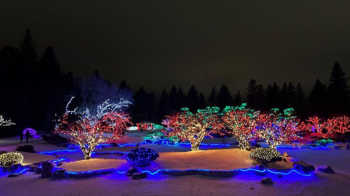 Winter Light Festival at Nikka Yuko Japanese Garden over 30,000 people in 2022/23