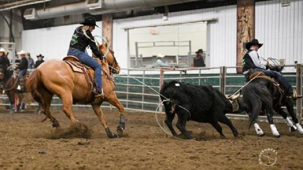 Student Rodeo RDP student-athletes to compete at Canadian College Finals Rodeo in ...