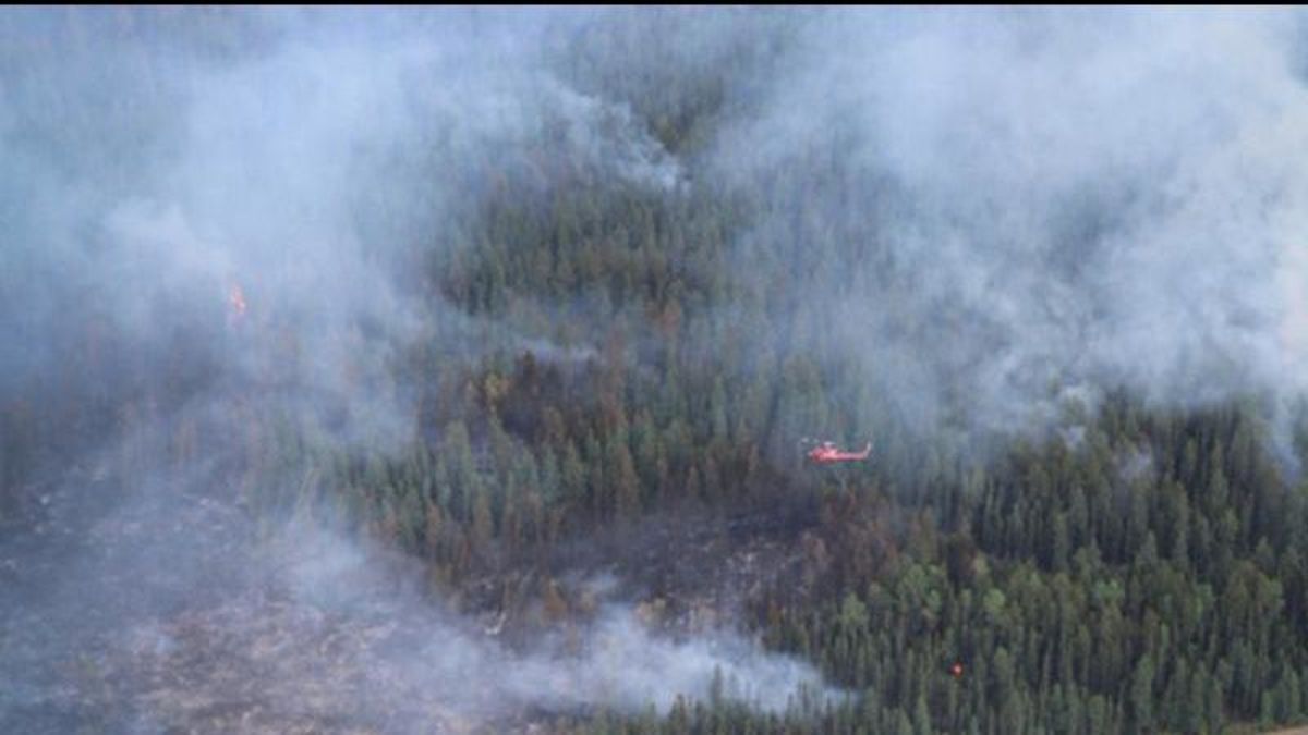 Alberta premier downplays link between wildfires and climate change