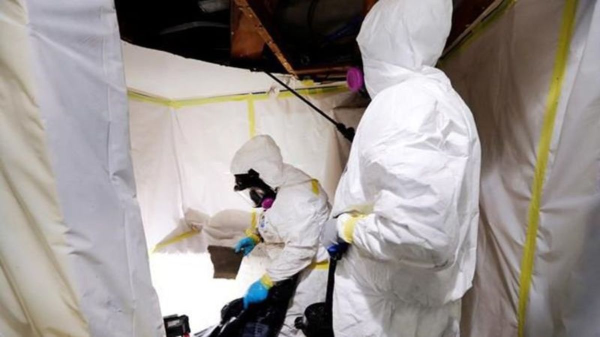 B.C. to require licence for asbestos abatement contractors by 2024