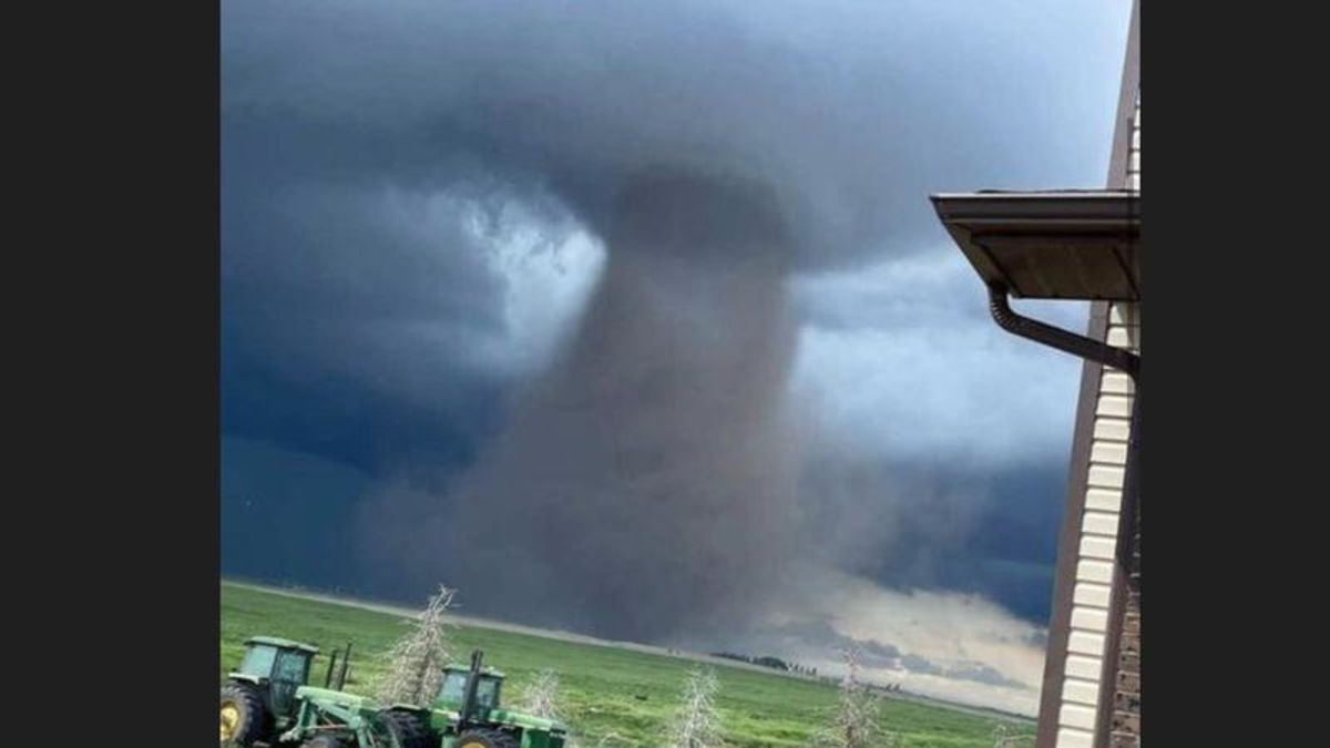 PHOTOS Southern Alberta storm produces possible tornadoes CHAT News