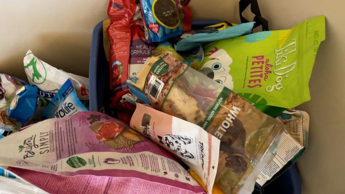 Kamloops BC SPCA in desperate need of pet food donations CFJC Today