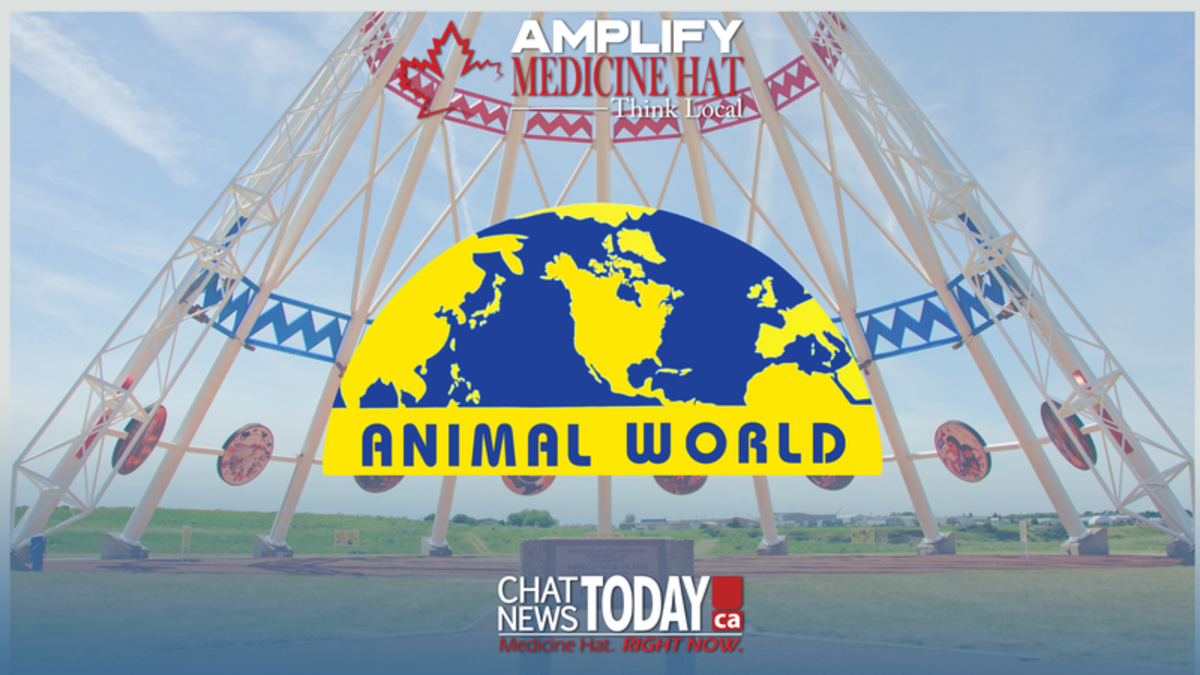 Amplify Medicine Hat Animal World Wild 94.5 Medicine Hat's New