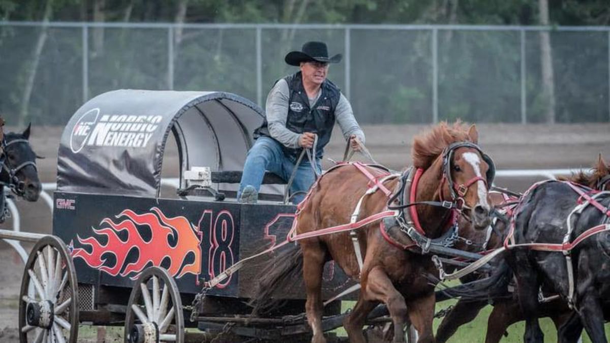 Seasoned chuckwagon driver seeks win in Medicine Hat before retirement CHAT News Today