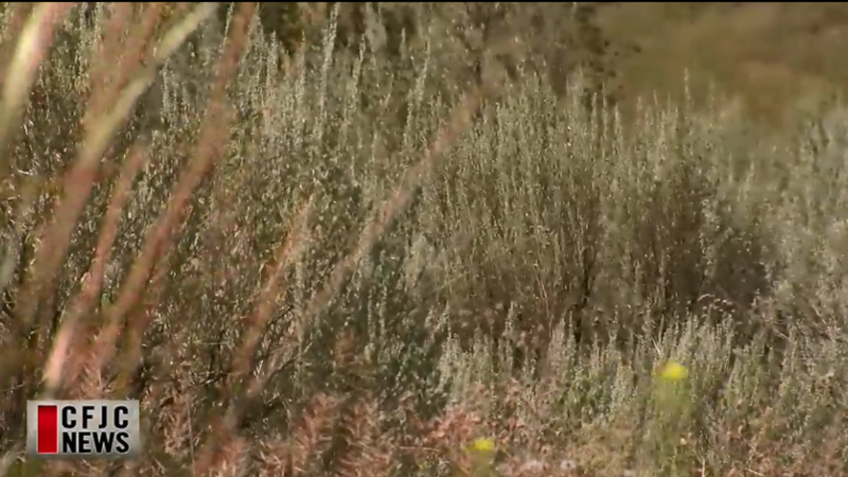 ‘High likelihood for extended periods of drought, Kamloops Council to