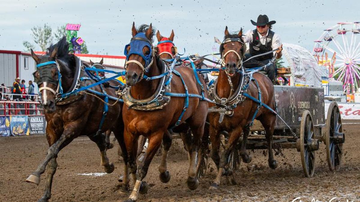 Ponoka stampede chuckwagon final set CHAT News Today