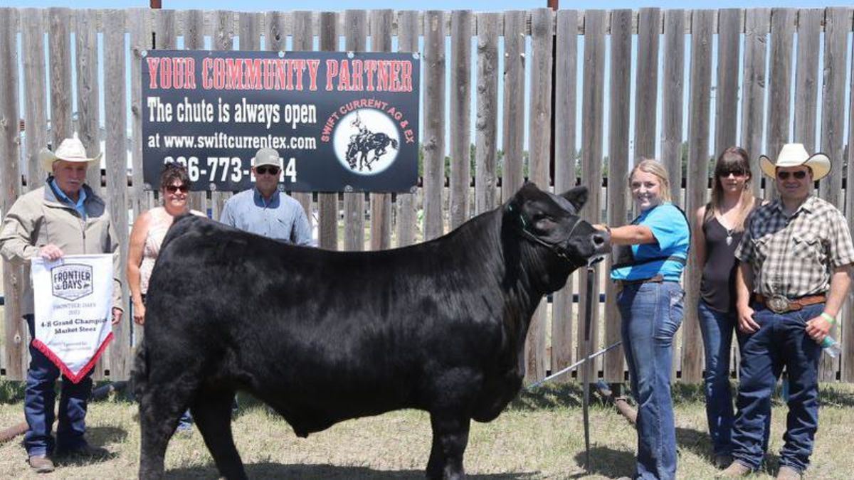 4H Steer Sale in Swift Current raises over 464K farmnewsNOW