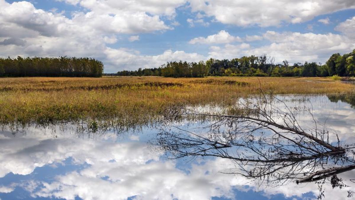 Sask. Water Security Agency offering funds to protect land from ...