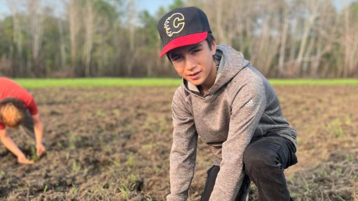 Cumberland House Cree Nation Expands Food and Medicine Forest paNOW