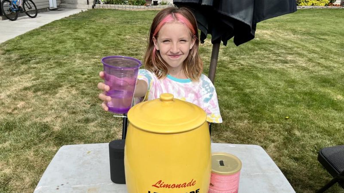 young-entrepreneur-find-success-with-summer-lemonade-stand-chat-news