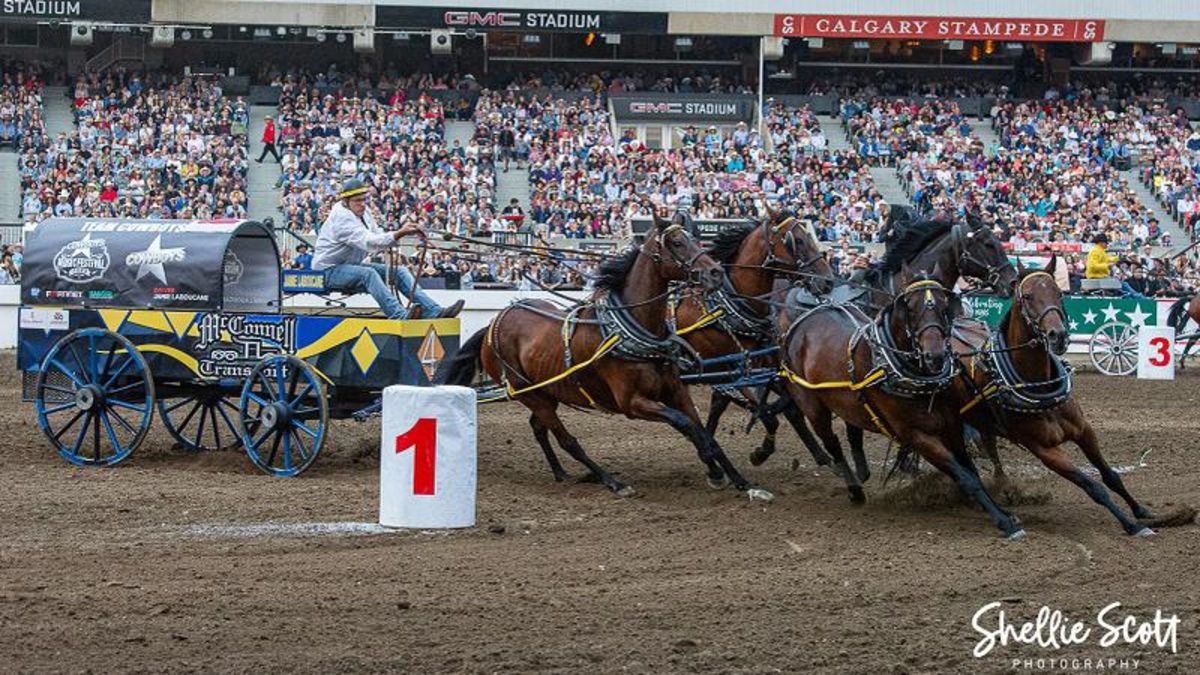 Day 6 results 2023 Calgary Stampede Cowboy’s Rangeland Derby