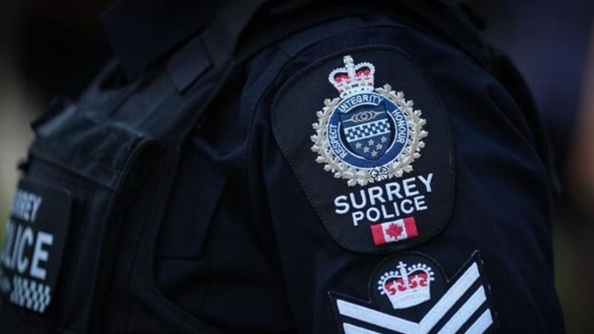 RCMP officers’ group says Mounties shouldn’t be ‘scapegoats’ in police ...