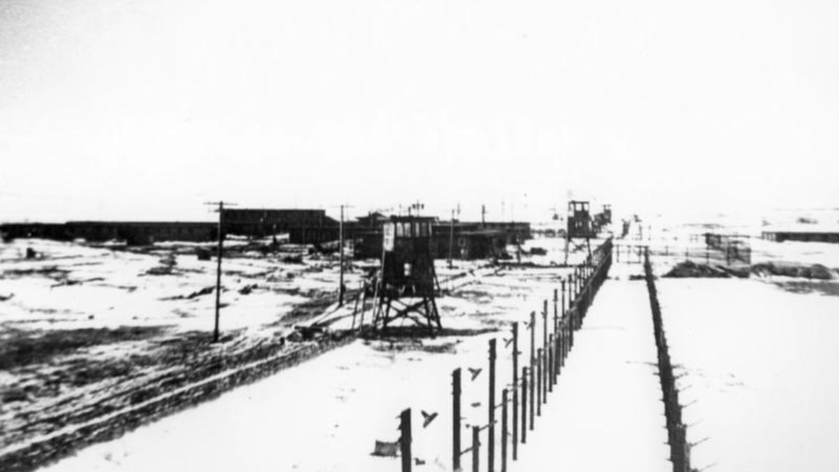 Our Town The POW Camp CHAT News Today