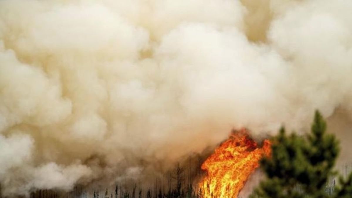 Firefighter killed while battling Donnie Creek wildfire in B.C. - Vimarsana News