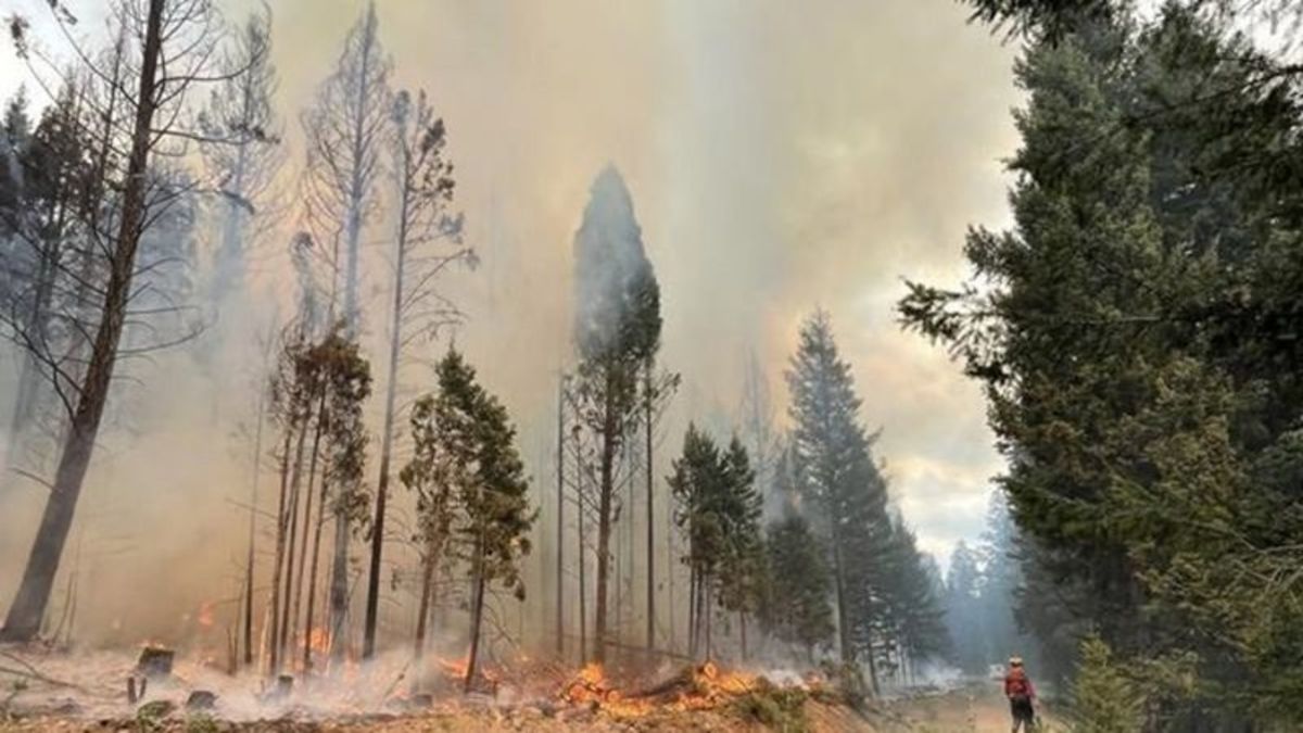 Staff working behind the scenes of Canada s fire fight essential