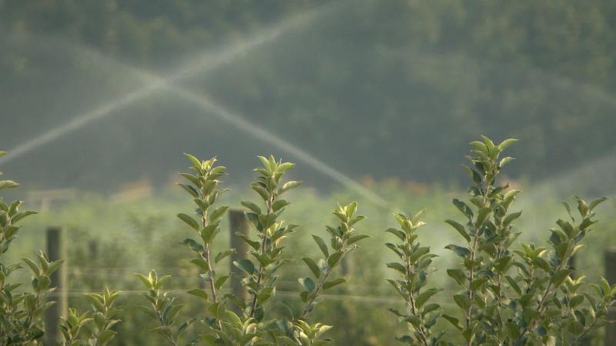 Noble Creek Irrigation System users feel heard after marathon council