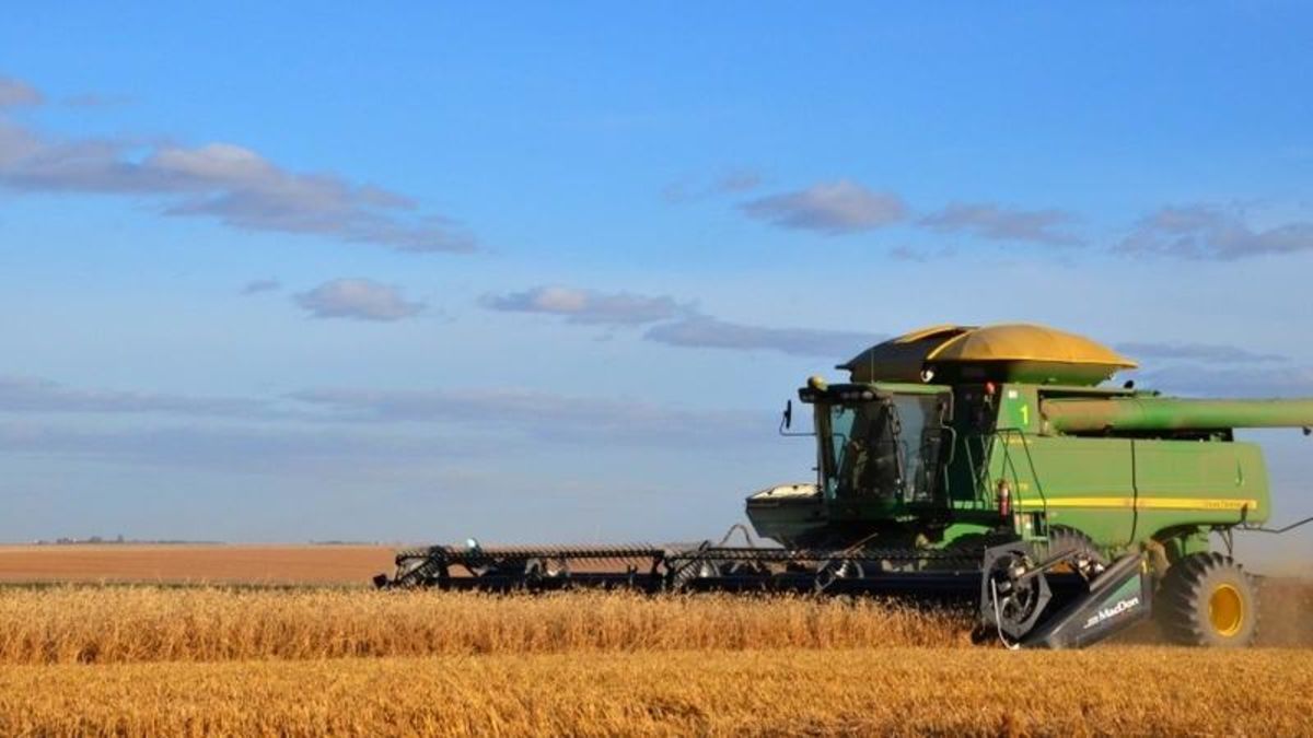 Sask. harvest ahead of five-year average, despite rain delays | farmnewsNOW