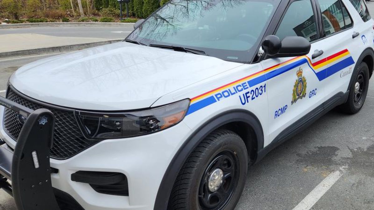 Upper Fraser Valley RCMP arrest man after he steals a bait car in ...