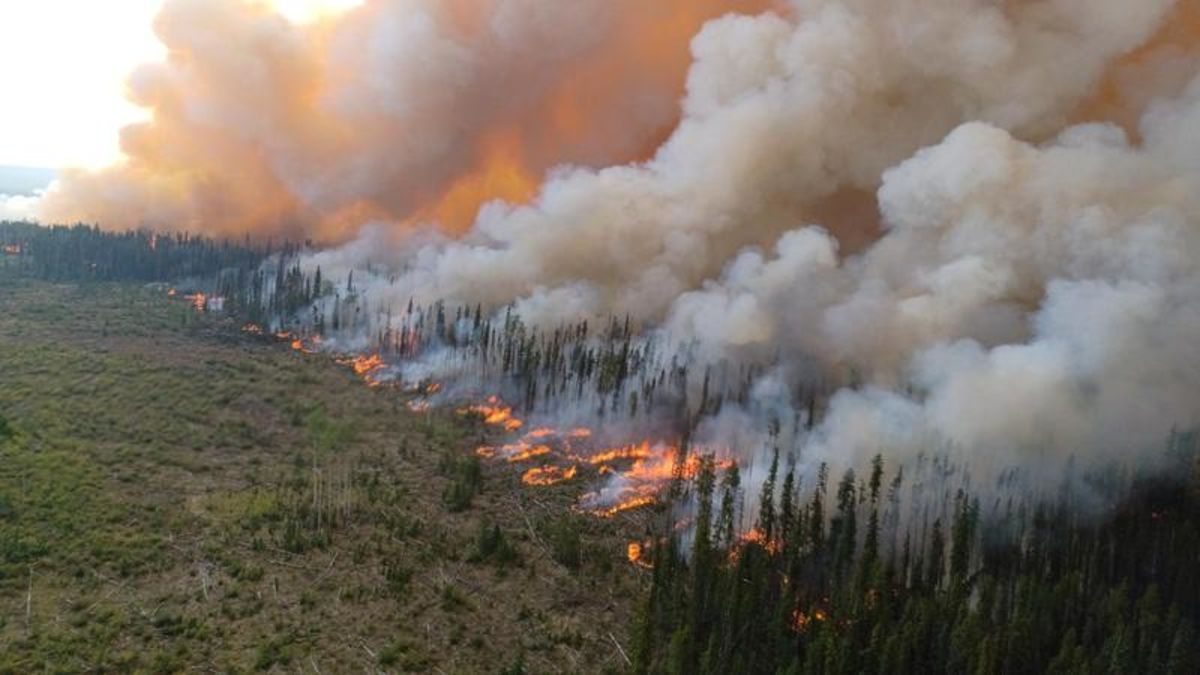 State of emergency in B.C. extended due to continued wildfire activity ...