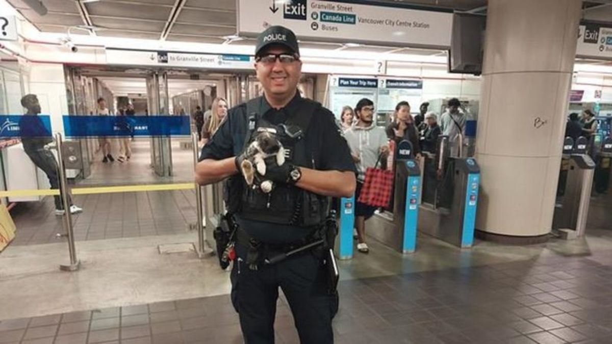 警方将在温哥华SkyTrain车站逃脱的情感支持兔子归还给主人