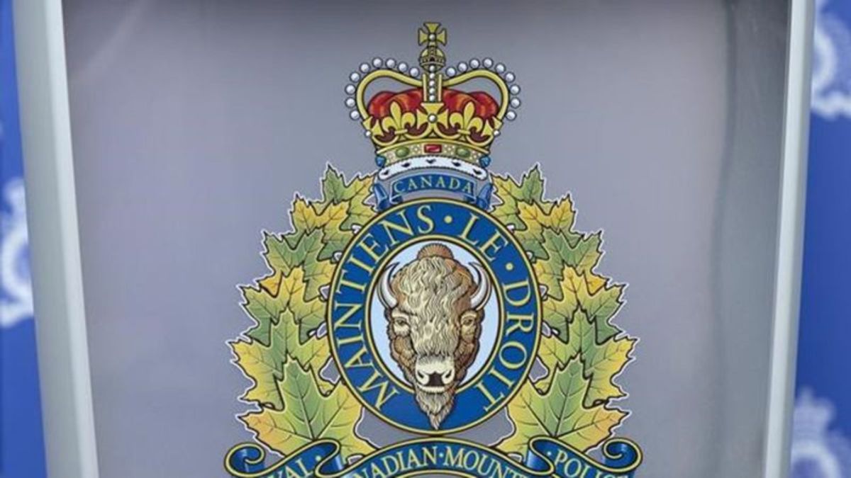 RCMP boosts contract scrutiny following review of dealings with China-linked firm - Vimarsana News