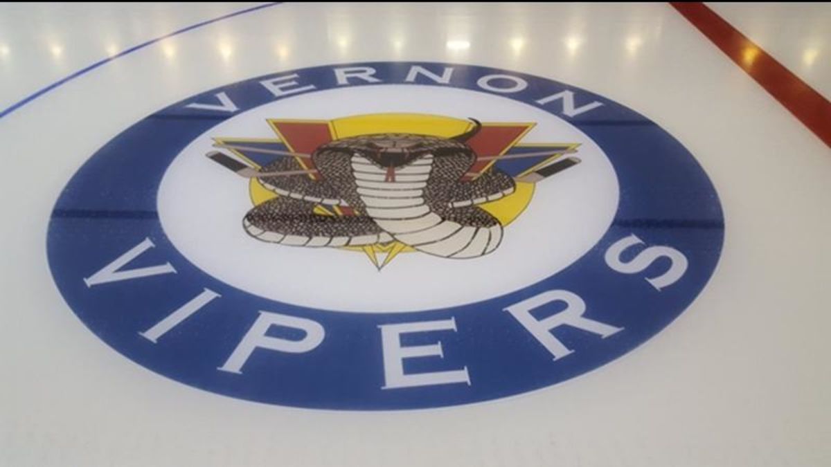 Vipers play final preseason games this weekend Vernon Matters