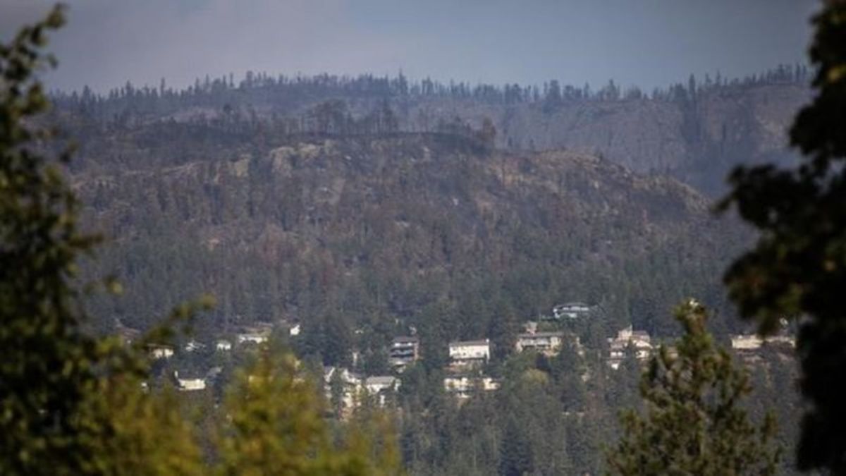 Most Evacuation Orders, Alerts Lifted In B.C.’s Okanagan Wildfires ...