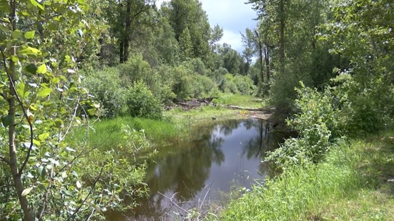 Two local ecosystem projects get funding