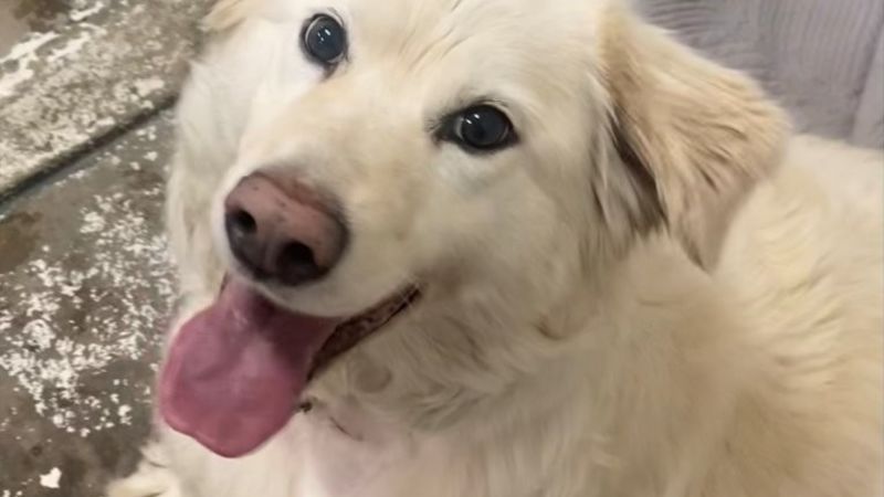 Sorry! Image not available at this time