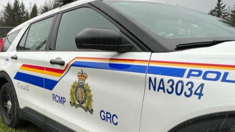 Search intensifies for missing Nanaimo woman, last seen Thursday | The ...