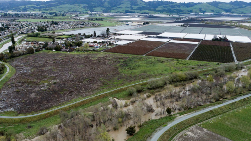 Floods fill some of California’s summer strawberry fields